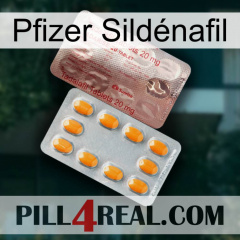 Pfizer Sildénafil new13